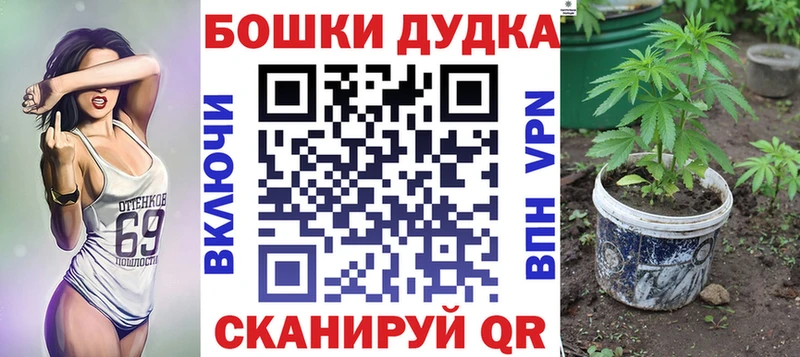 где купить   Владивосток  Бошки марихуана семена 